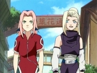 Sakura e Ino